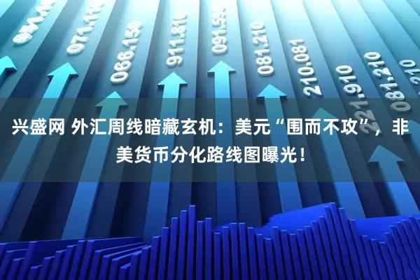 兴盛网 外汇周线暗藏玄机：美元“围而不攻”，非美货币分化路线图曝光！