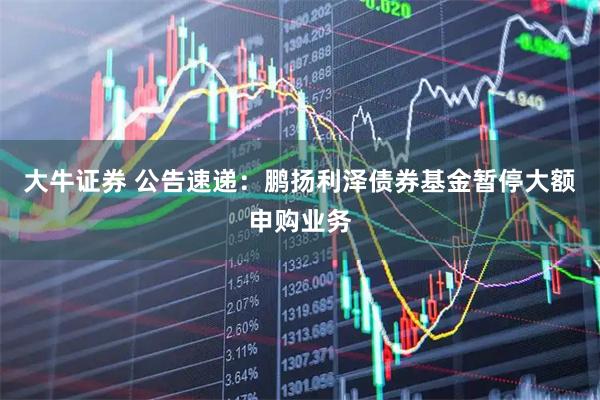 大牛证券 公告速递:鹏扬利泽债券基金暂停大额申购业务