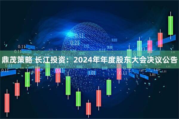 鼎茂策略 长江投资：2024年年度股东大会决议公告