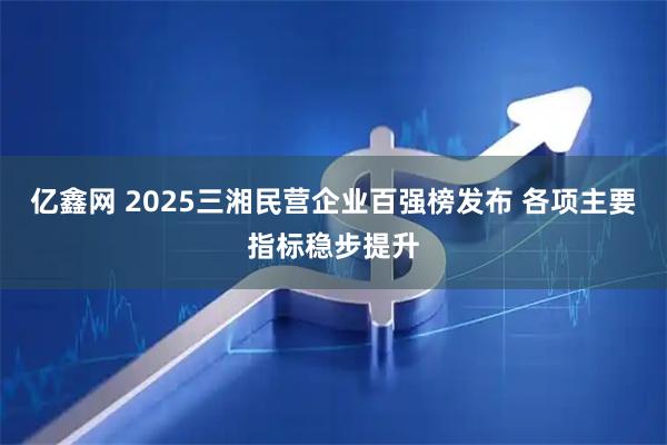 亿鑫网 2025三湘民营企业百强榜发布 各项主要指标稳步提升
